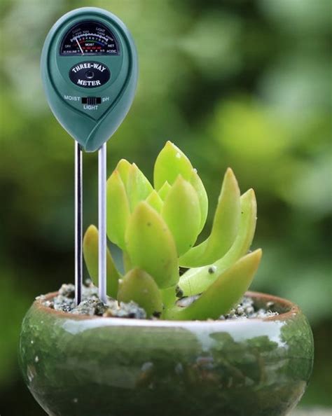 moisture meter for cactus|moisture meter for succulent cactus.